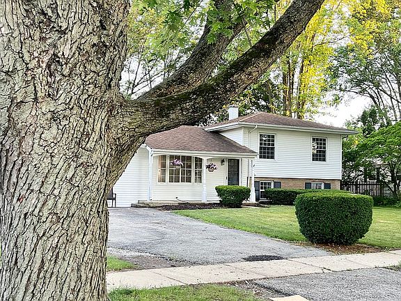 Large trees + sidewalks