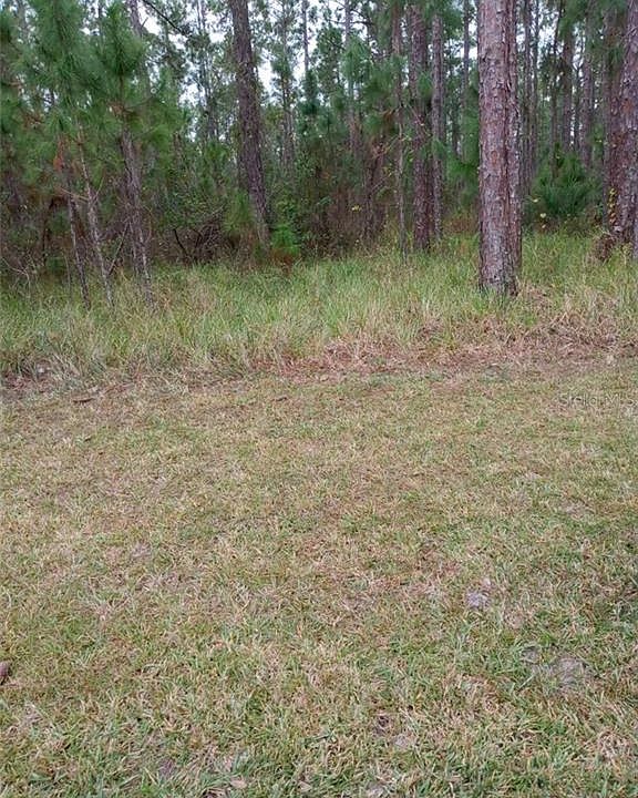 1st image of Poinciana Dr