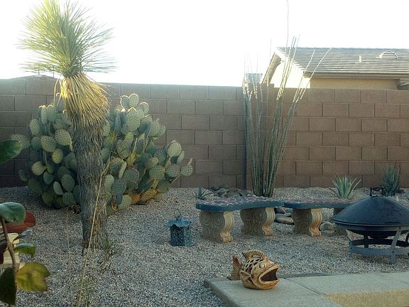 Even more cactus - no need to water