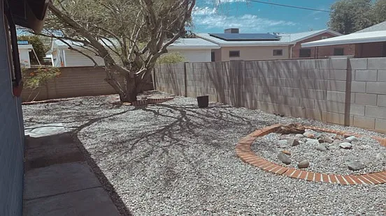 Backyard