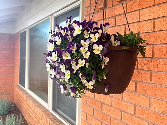 3rd image of 210 N Summit St