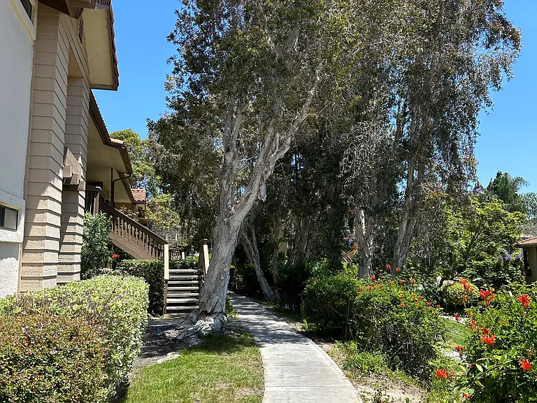 12530 Carmel Creek Rd #132 — Photo 9