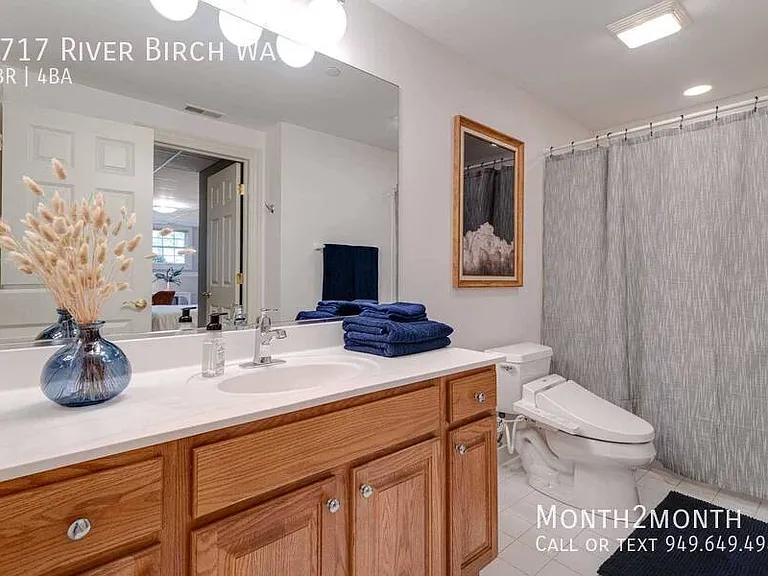 1717 River Birch Way — Photo 28