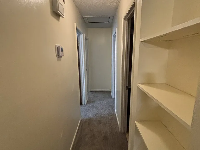 317 County Road 56 — Photo 6