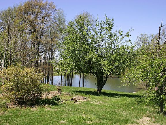 View of lake from orchard