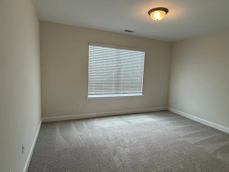 275 Boundary Hall Way — Photo 10