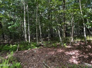 Maple Nut Rd, Hawley, PA 18428