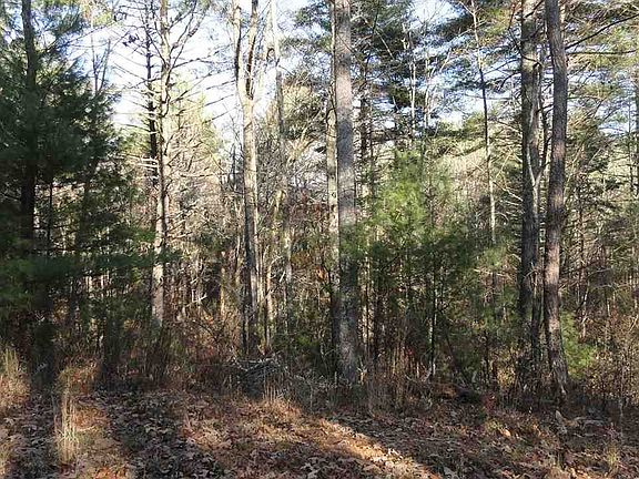 4th image of 0 Lower Towee Ln
