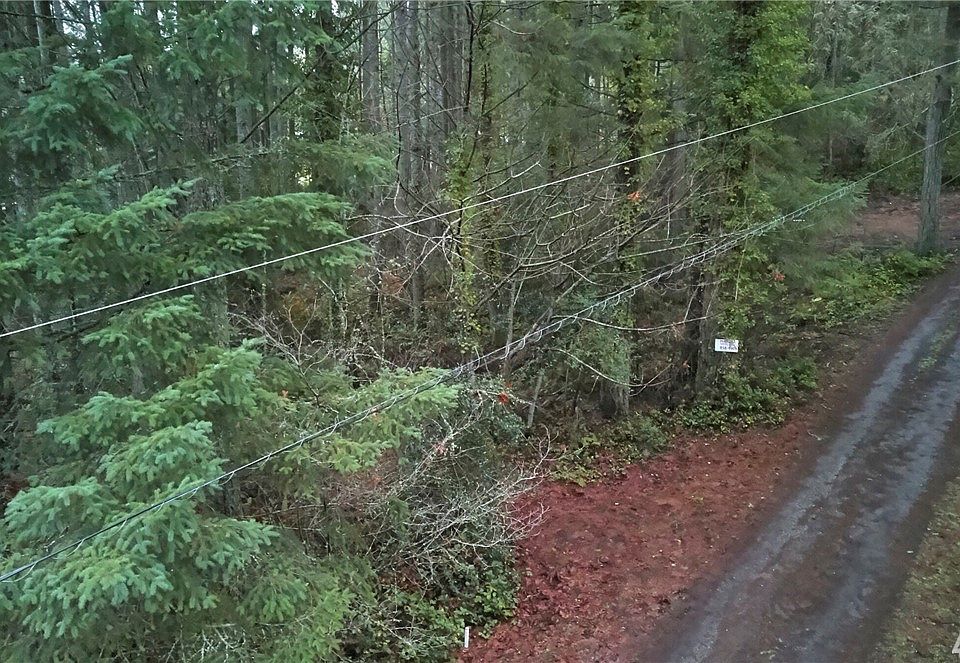 View of property and easement road. Look at that timber ;) 
