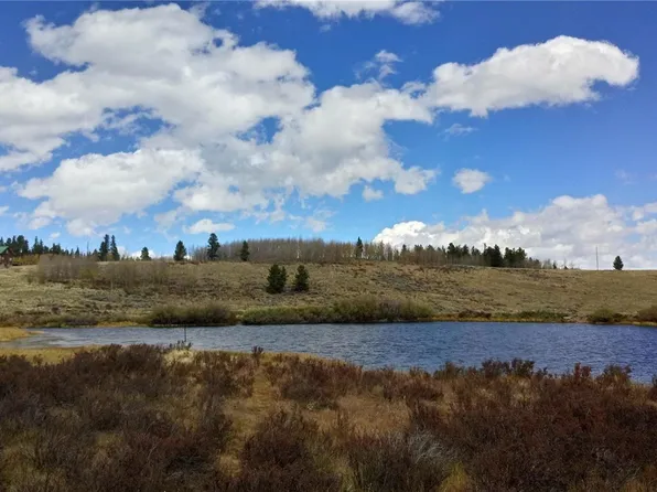 Foxtail Court, Fairplay, CO 80440