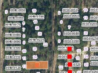 SW 56th Ave, Interlachen, FL 32148