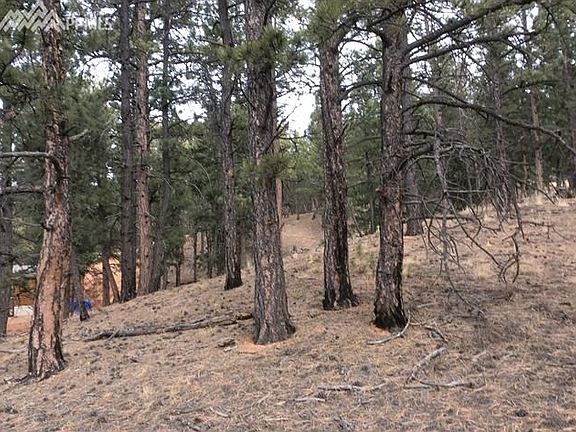4th image of 15066 Pine Lake Dr