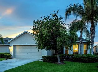 29140 Coharie Loop, San Antonio, FL 33576