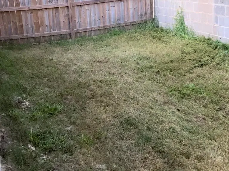 244 Skylane Dr — Photo 24