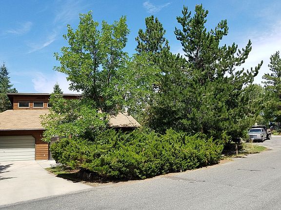 Trees & shrubs-front