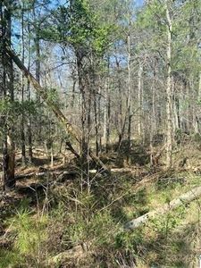 0 County Road 9008, Fort Payne, AL, 35967