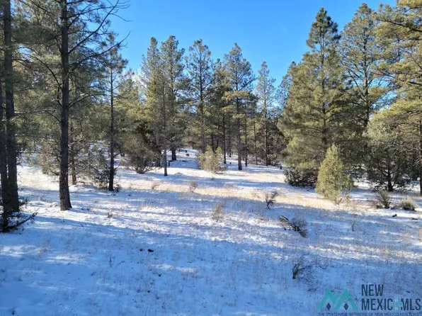 Little Arrow Trl, Grants, NM 87020