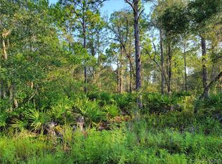 7093 W Polaris Ct, Homosassa, FL 34446