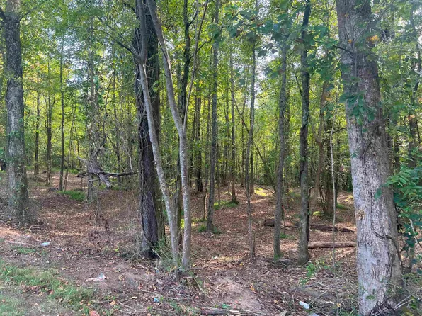 13 Kent Rock Rd, Loganville, GA 30052
