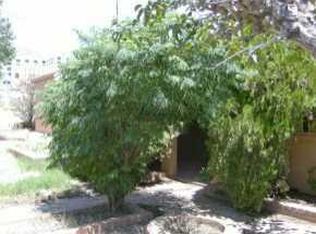 1216 Wright St, El Paso, TX 79902