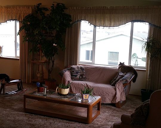 4th image of 1907 W Flamingo Ave Unit 104