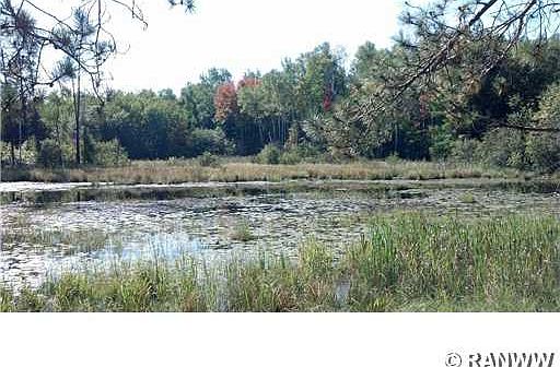 5th image of 0 Little Bass Lake. (Tract 8218) Road