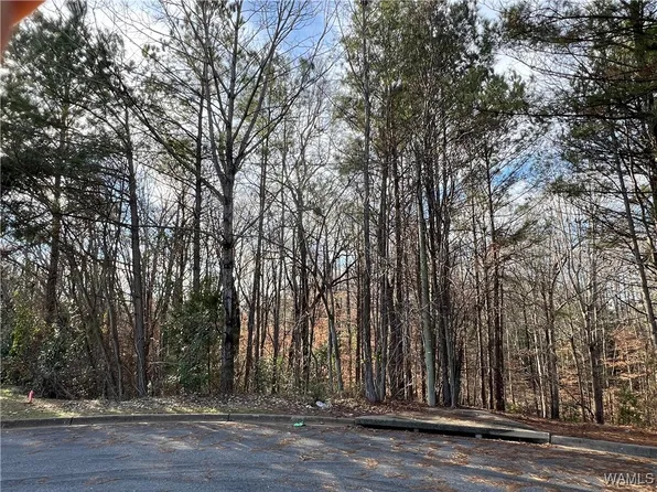 929 Parkhill Dr, Tuscaloosa, AL 35404