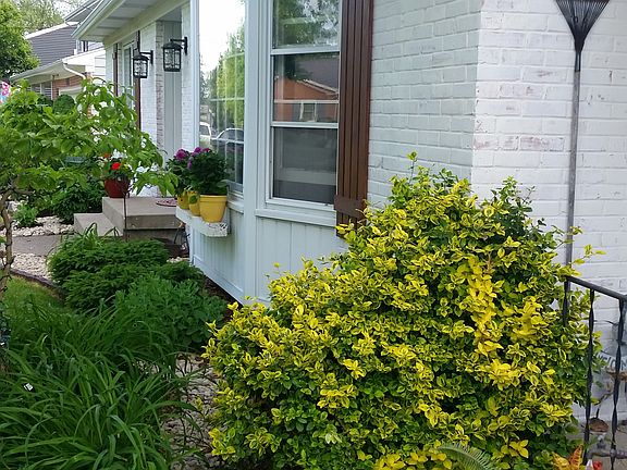 Custom shutters, pond stones