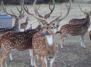 889 Long Mdw, Spring Branch, TX 78070