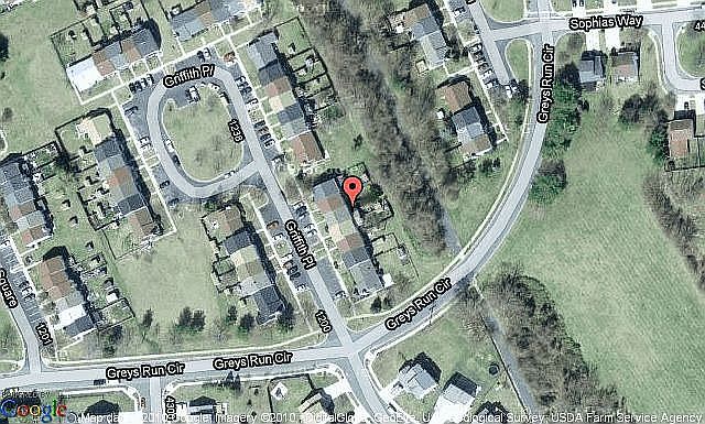 Map View