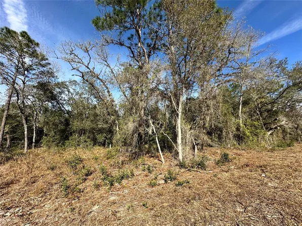 SE 67th Pl Lot 12, Morriston, FL 32668