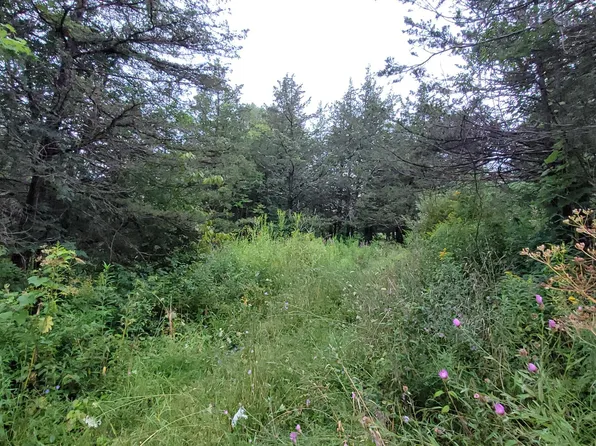 L35 Cooper Village Lane, Middleburgh, NY 12122