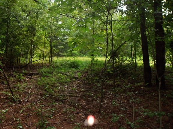 4th image of 541 Forest Trl