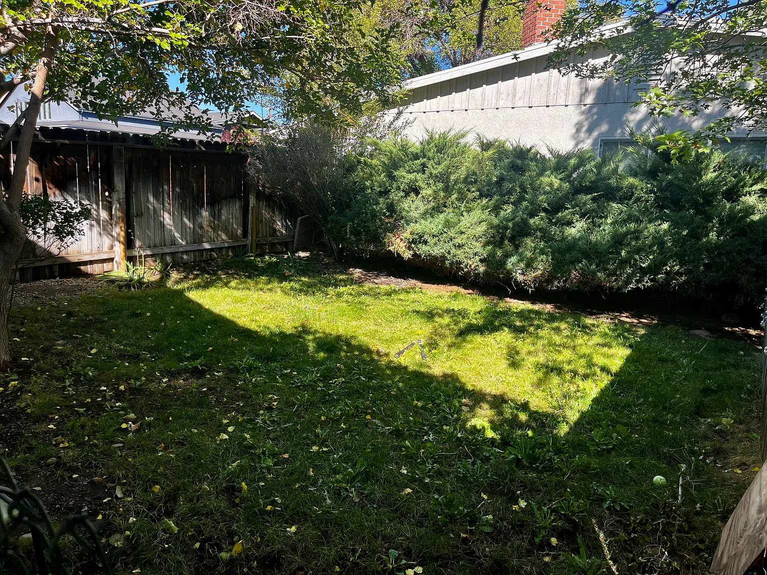 1 bed, 680 sqft, $1,900 — Photo 3