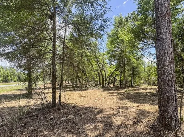 TBD NE 75th St, Williston, FL 32696