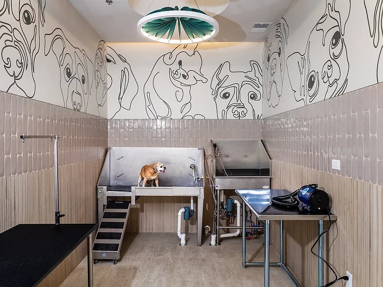 WAG pet spa
