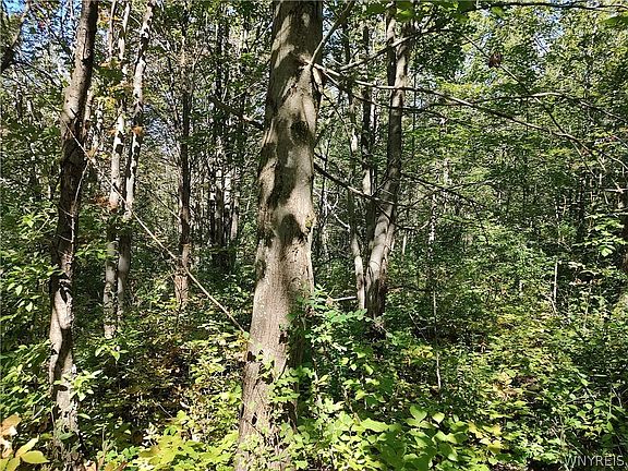 5th image of 0 Dutch Hill Rd Lot 2