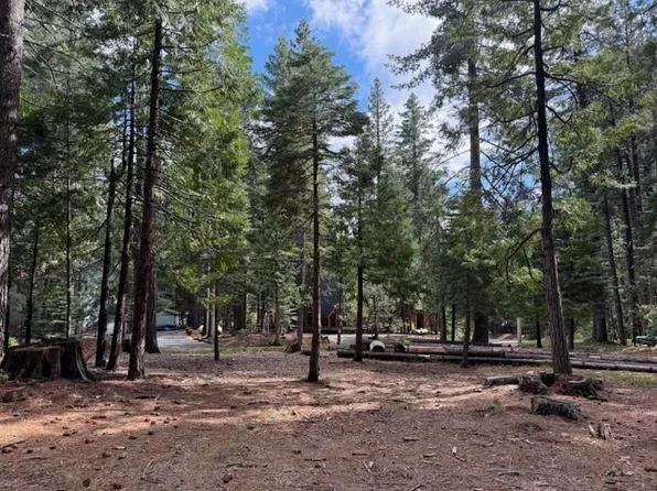 1510 Pawnee Dr, Arnold, CA 95223