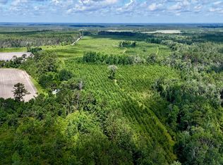 TRACT 4 Bennett Mill Pond Rd, Odum, GA 31555