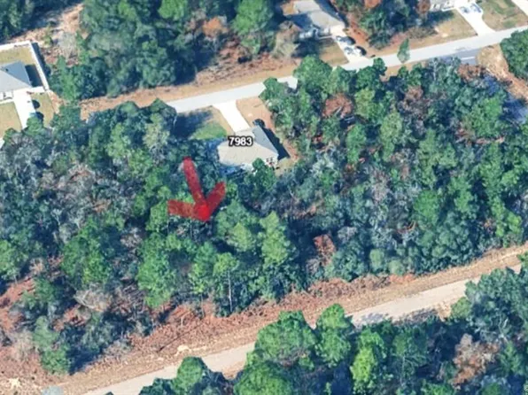 7970 N Bahama Ter, Citrus Springs, FL 34433