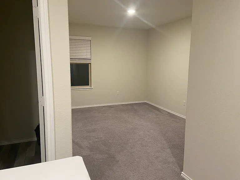 236 Prairie Falcon Way — Photo 11