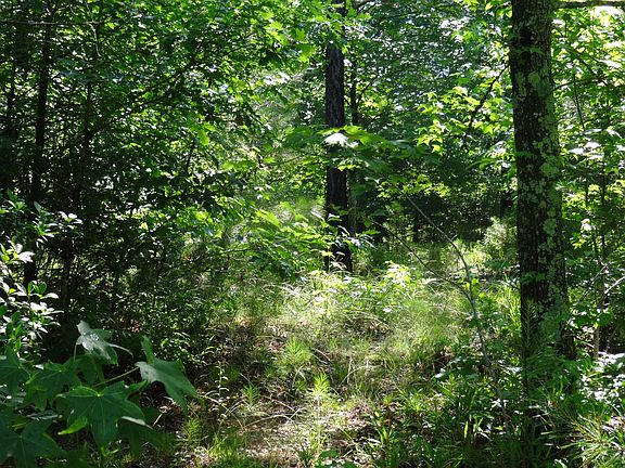 4th image of 228 River Walk Dr