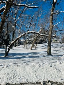 LOT 10/11 Windsor Ave, Spring Grove, IL, 60081