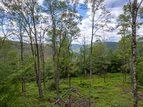 14401 14485 County Rd #17, Hancock, NY 13783