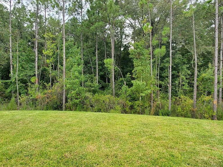3432 Auvenshine Way — Photo 20