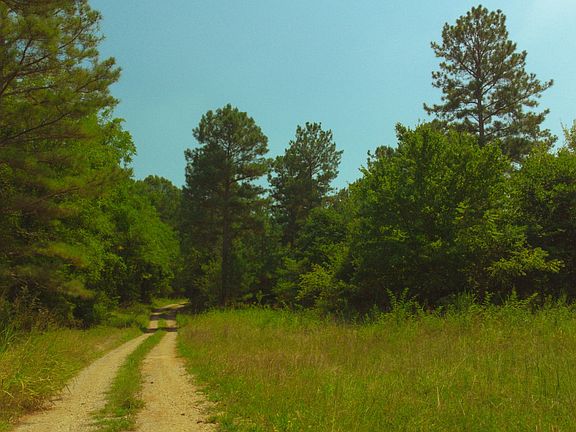 3rd image of 1 County Road 351
