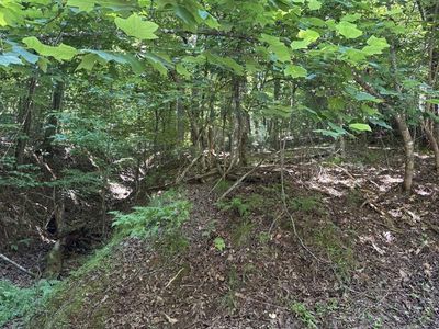 LOT 1178 Optic Ct, Ellijay, GA, 30540