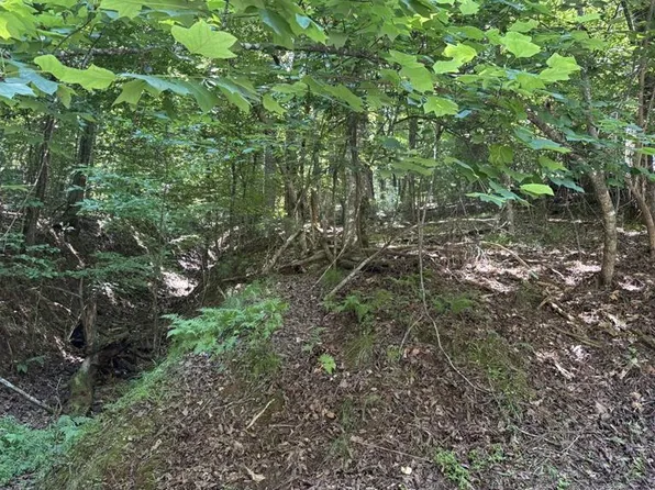 LOT 1178 Optic Ct, Ellijay, GA 30540