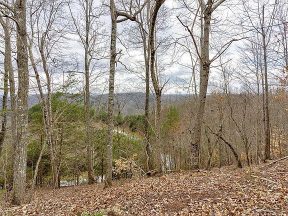 3rd image of LOT 811 Creekside Dr