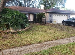 1007 Riflecrest Ave, Valrico, FL 33594
